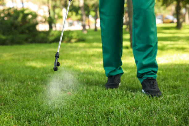 Best Affordable Pest Control Services  in Brownsville, PA