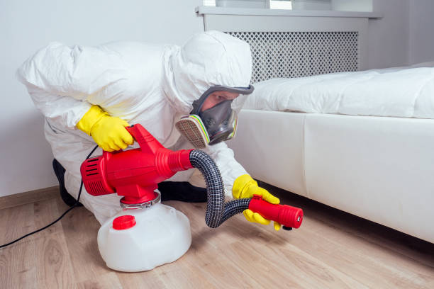 Best Cockroach Control Services  in Brownsville, PA