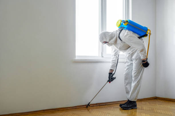 Best Flea Control Services  in Brownsville, PA