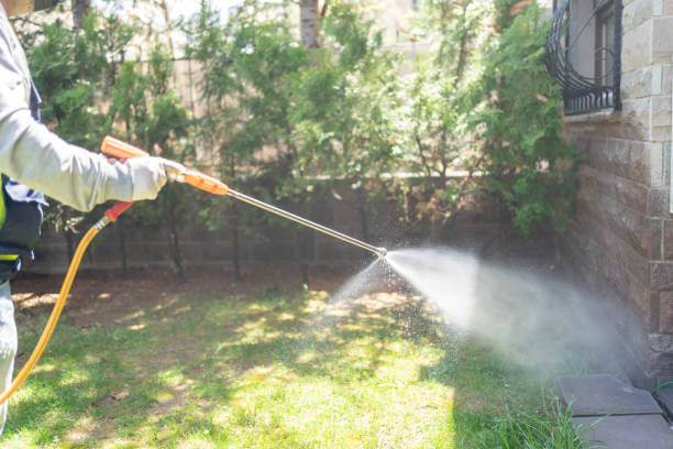 Trusted Brownsville, PA Pest Control Experts