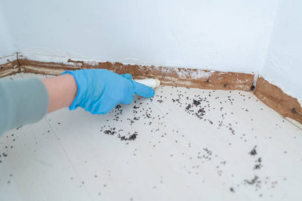 Best Exterminator Services  in Brownsville, PA