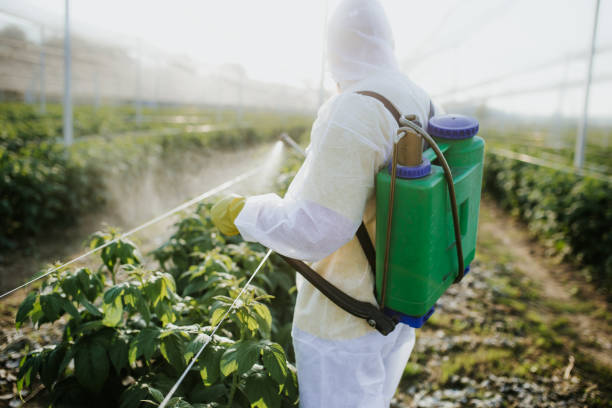 Insect Control in Brownsville, PA